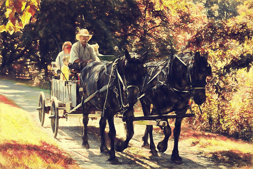 People riding a horse carriage
