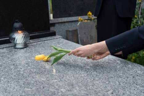 yellow flower on grave