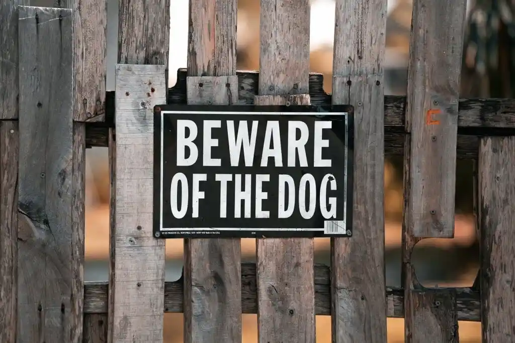 Dog Bite Lawyer Kokomo Indiana